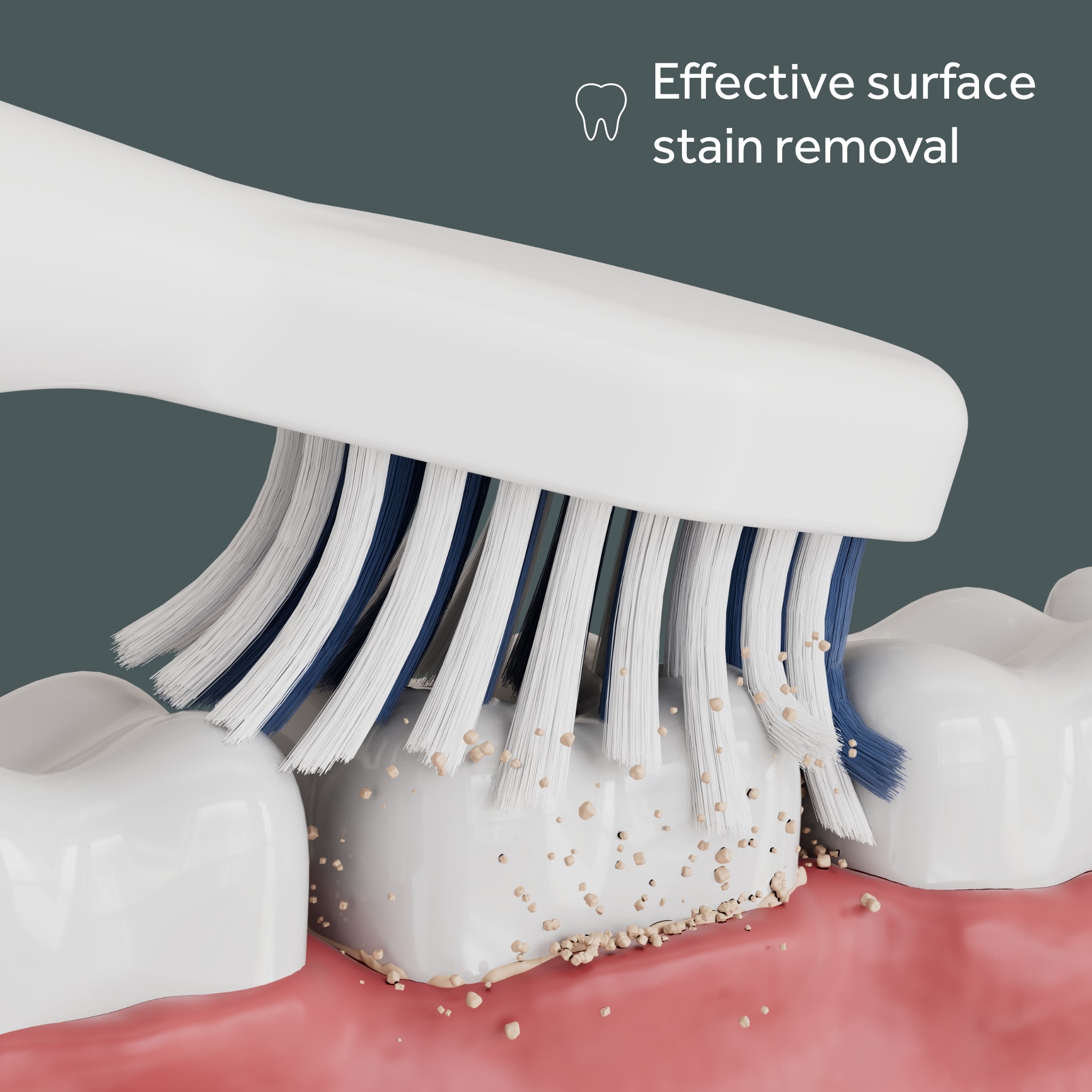 Sonic Toothbrush in Graphite Grey